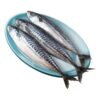 Mackerel Fish