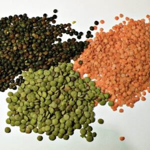 Lentil